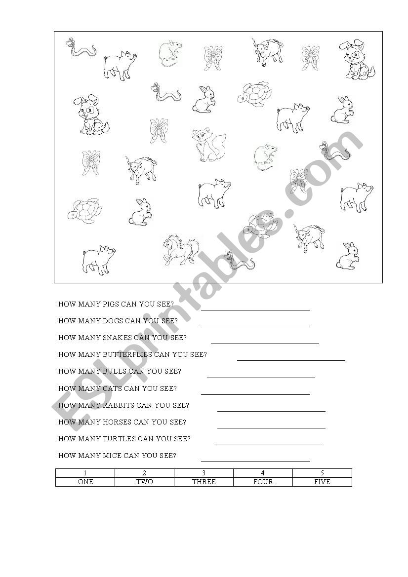 HOW MANY... CAN YOU SEE? worksheet