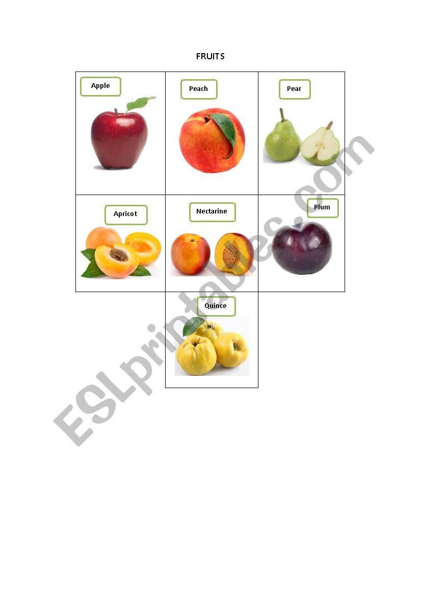 FRUITS 1 worksheet