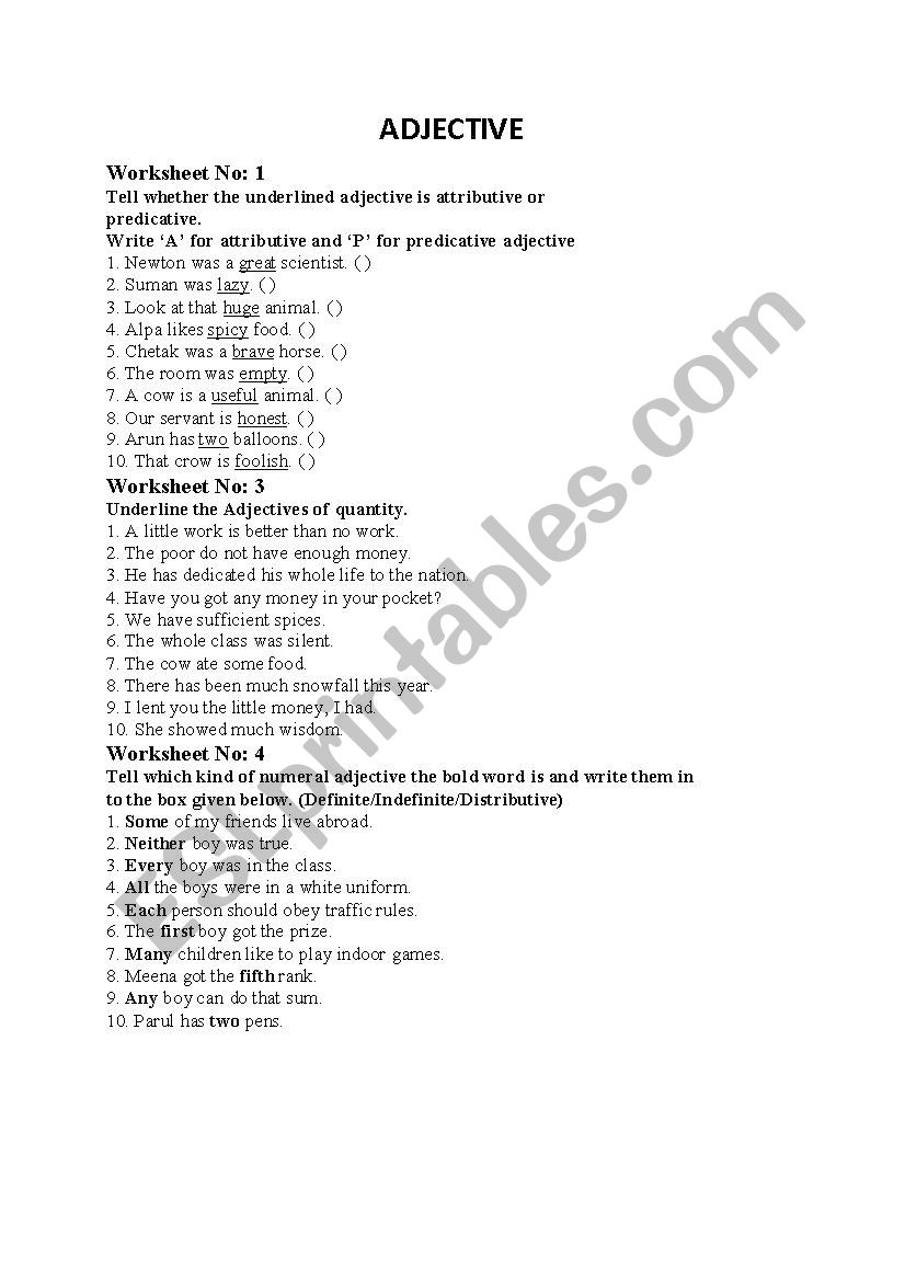 Adjective Worksheet worksheet