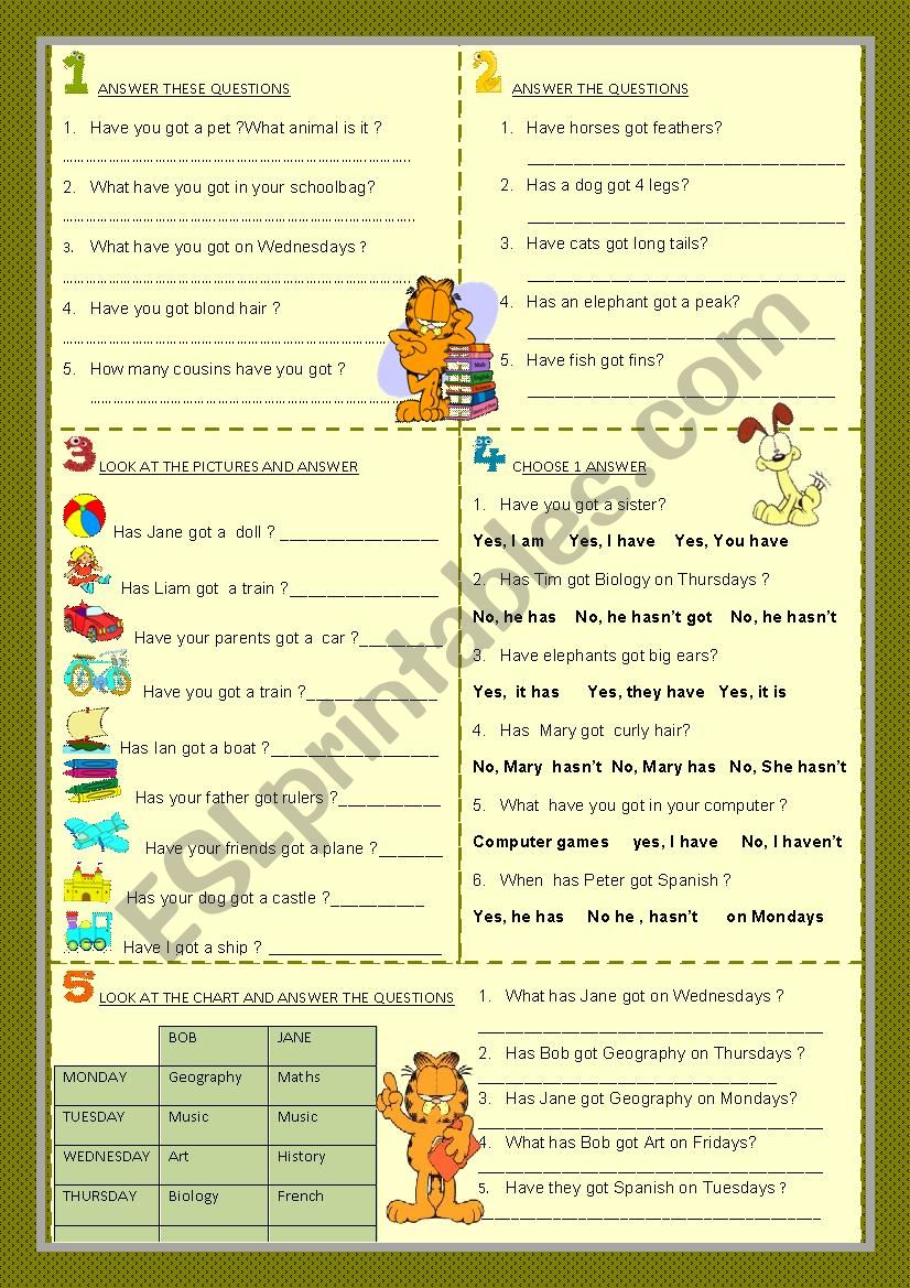 verb have - interrogative : answers to yes-no / wh- questions ( part 2 )