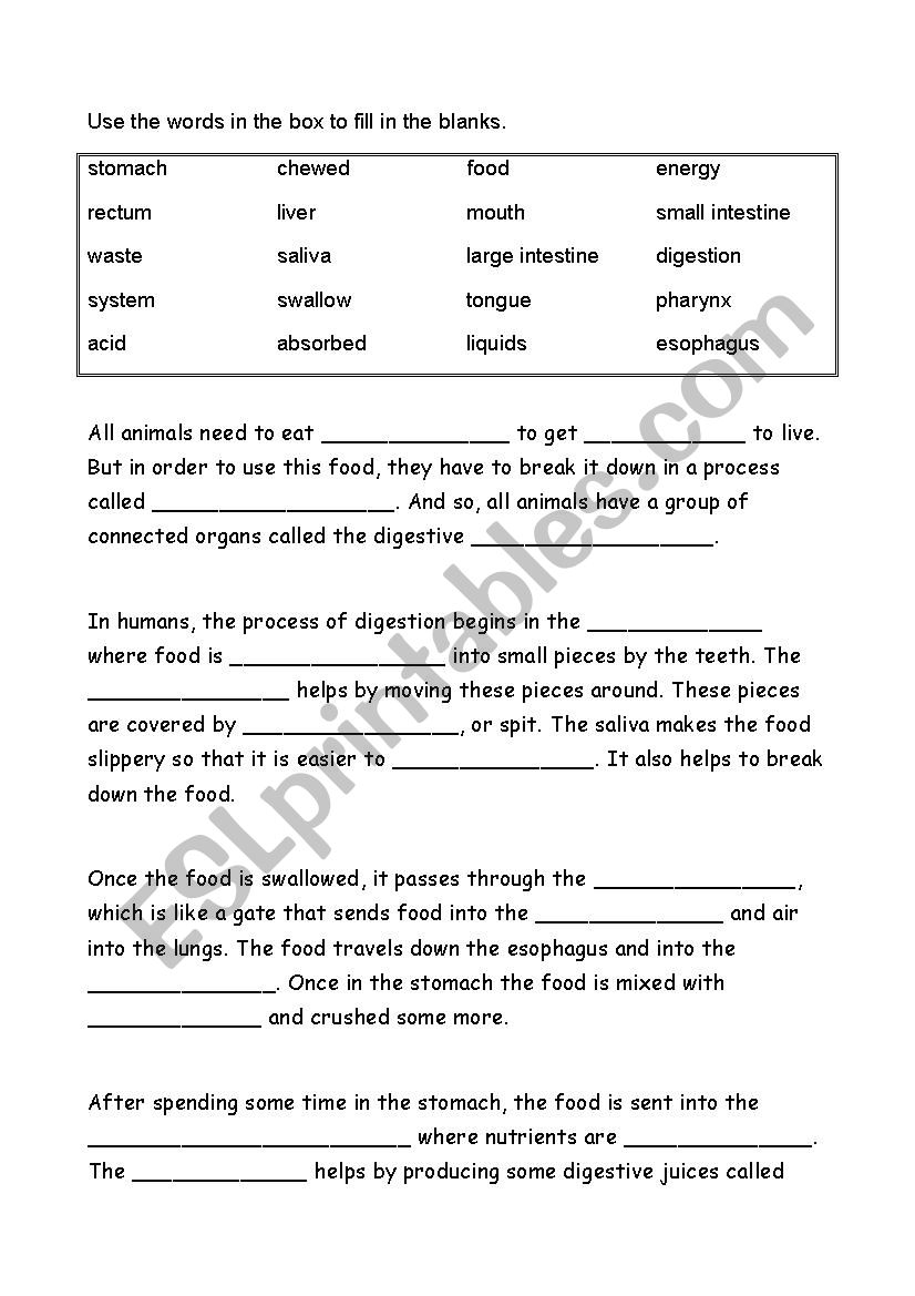 Digestive system worksheet