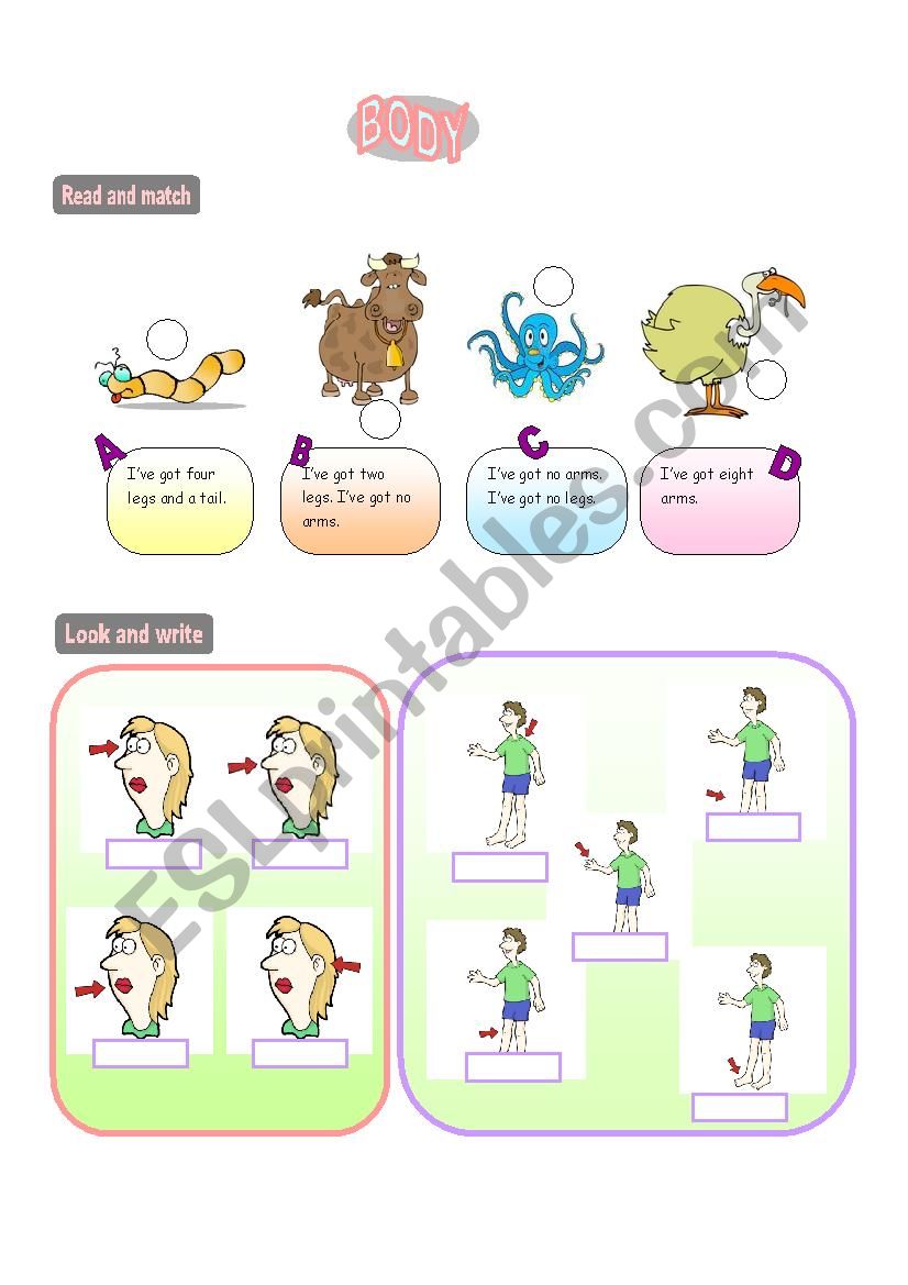 Parts of the Body worksheet