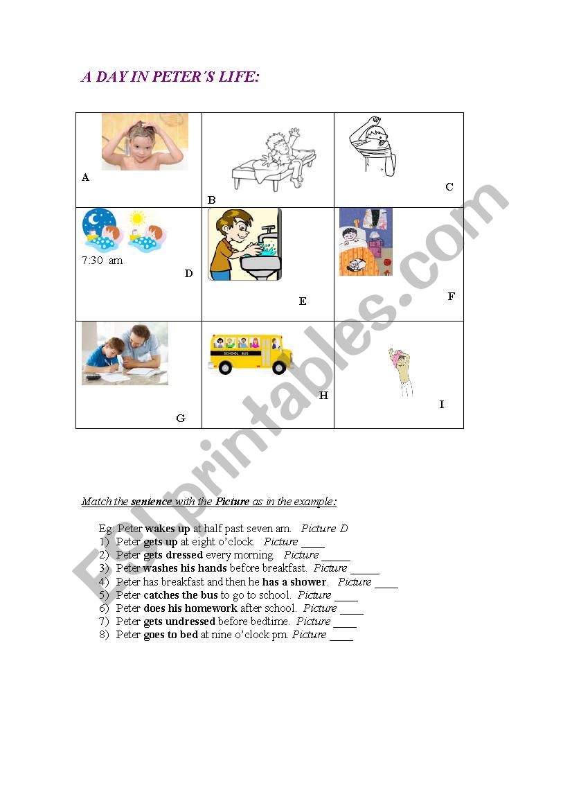 A DAY IN PETER´S LIFE - ESL worksheet by Utcutc