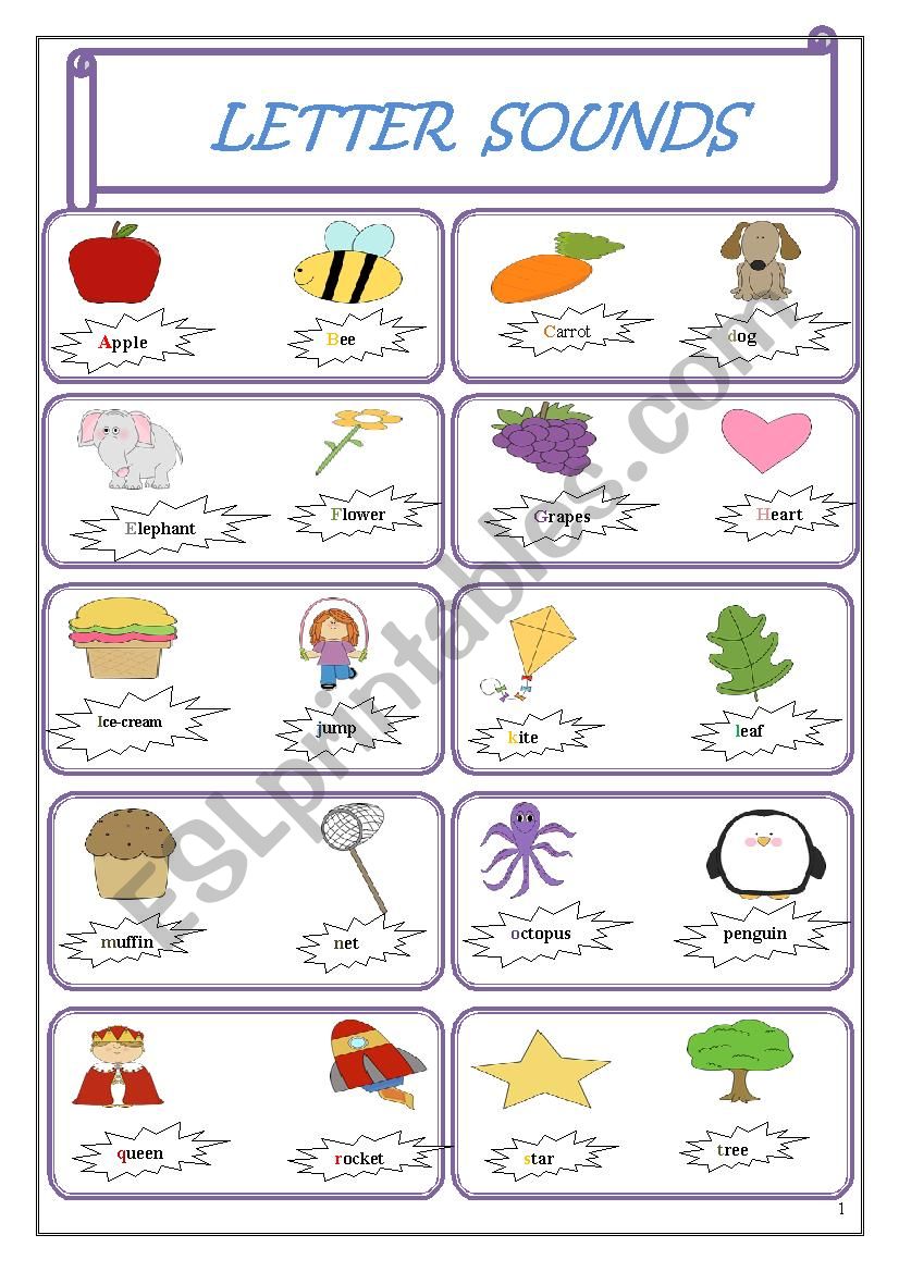 Alphabet  worksheet