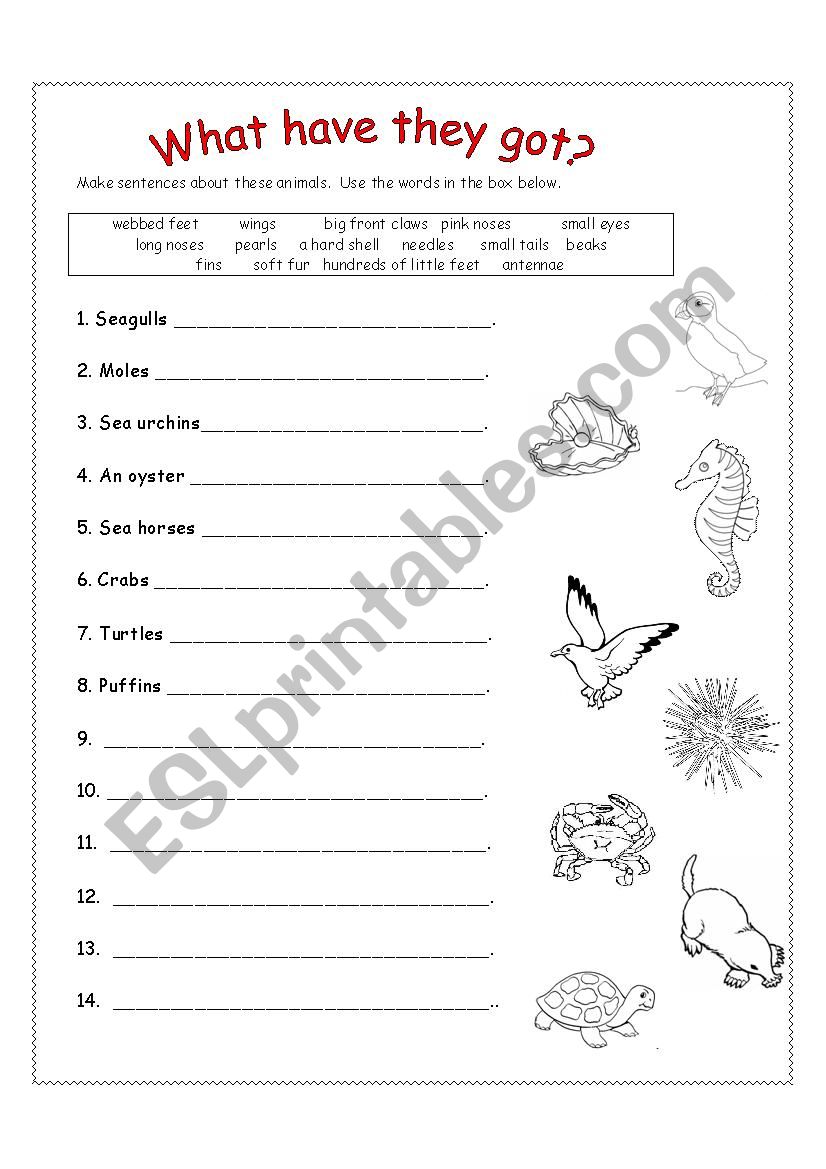 What Have They Got? worksheet