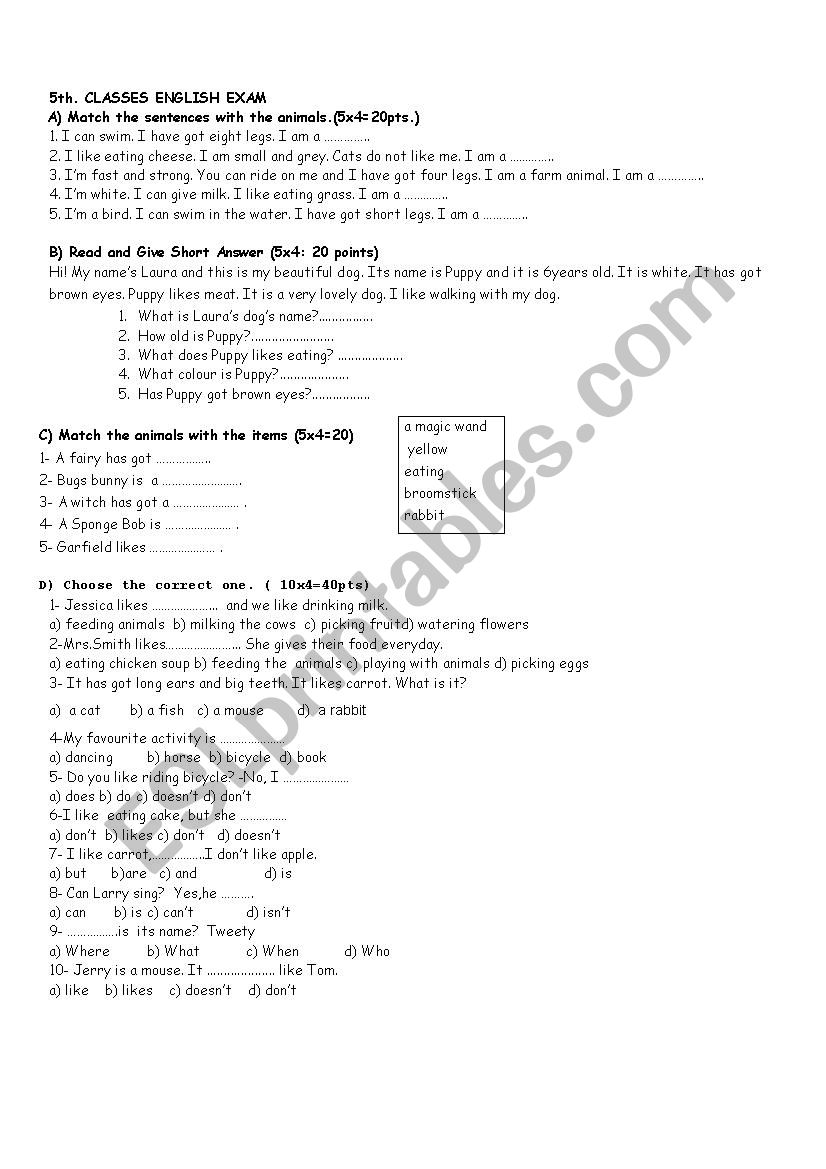 5 th grade exam  worksheet