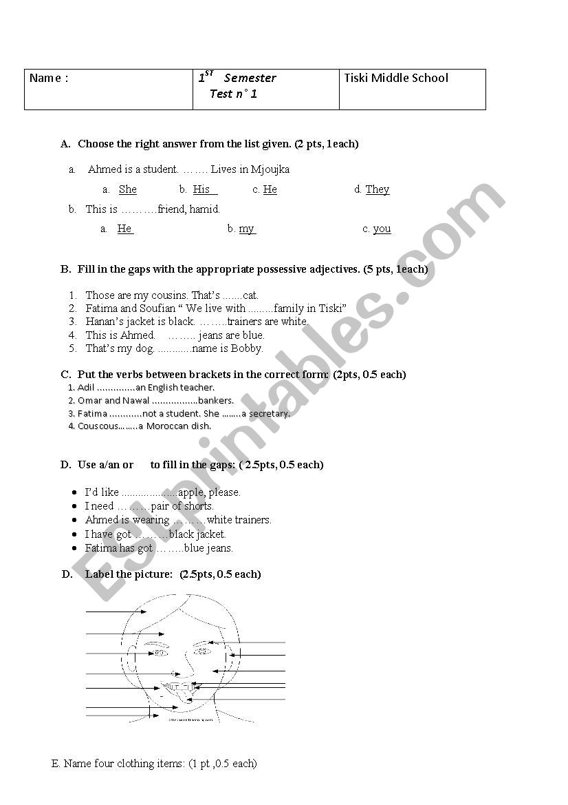 test for elementary students worksheet