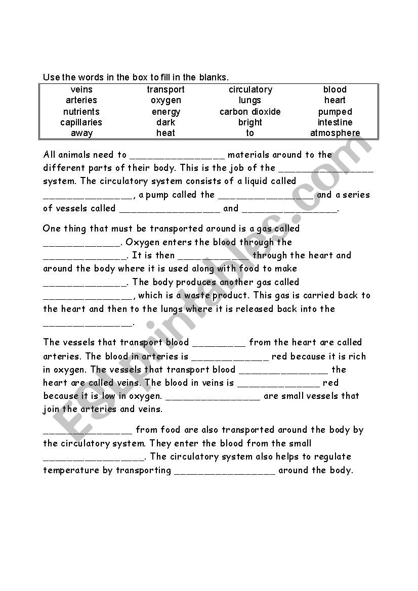 Circulatory System ESL Worksheet By Revisione