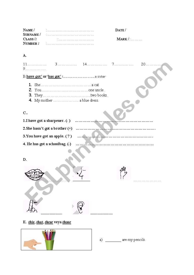 4th grade second exam worksheet