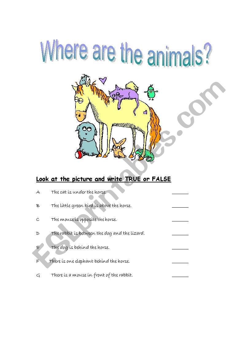 animals worksheet