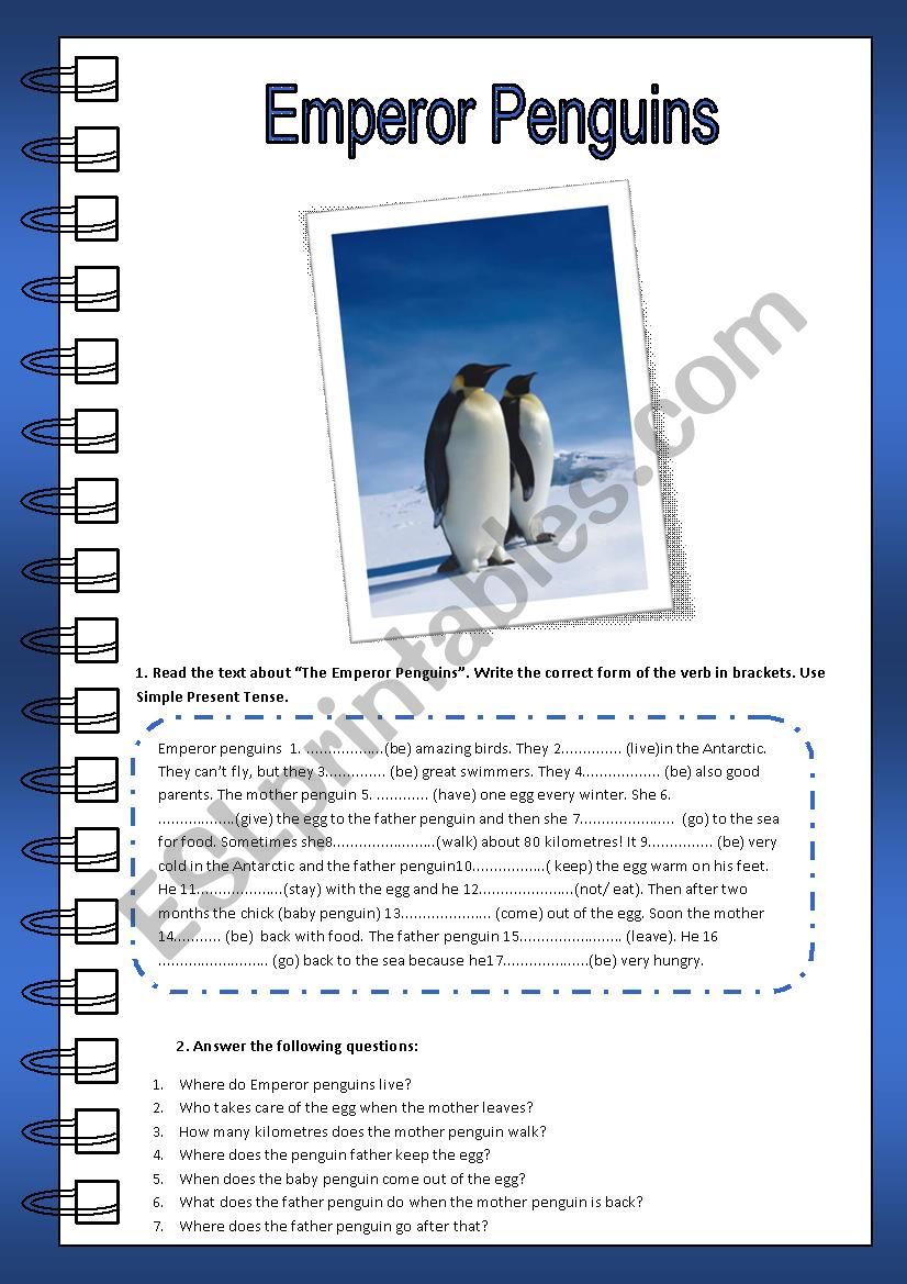 Emperor Penguins (Reading) worksheet