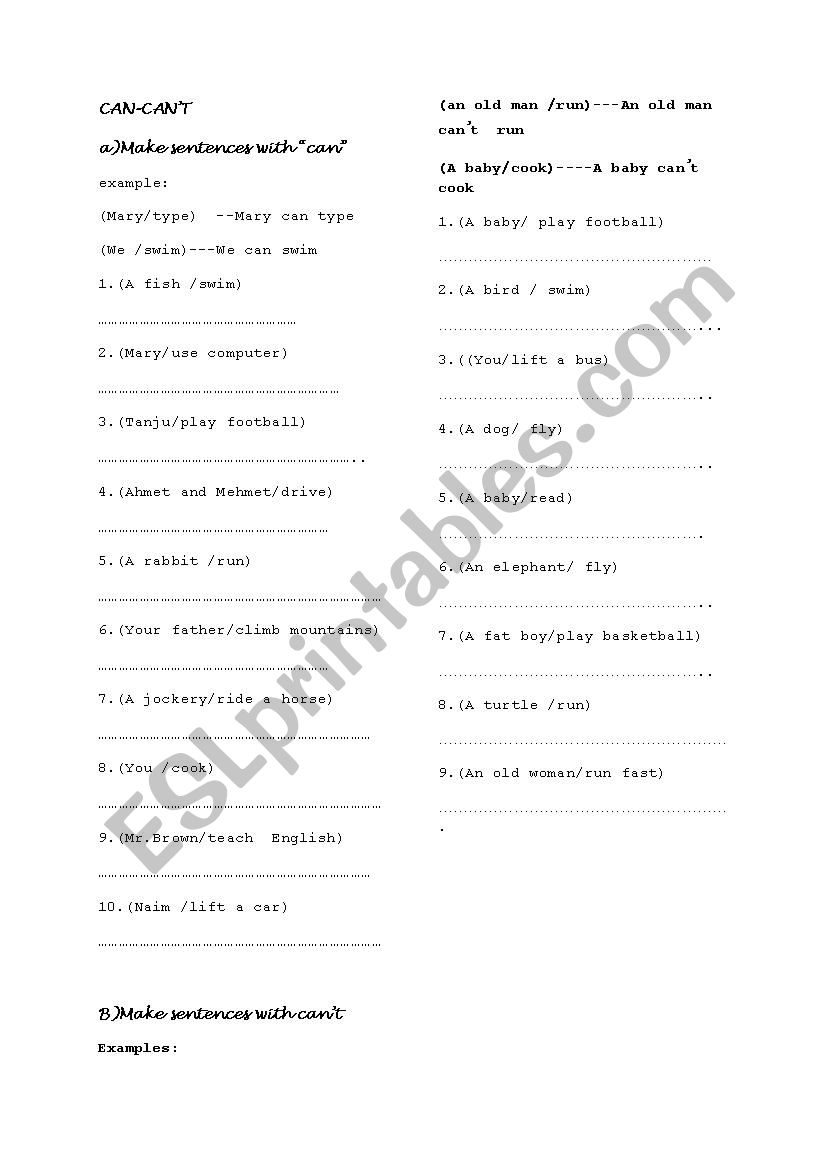 CAN worksheet