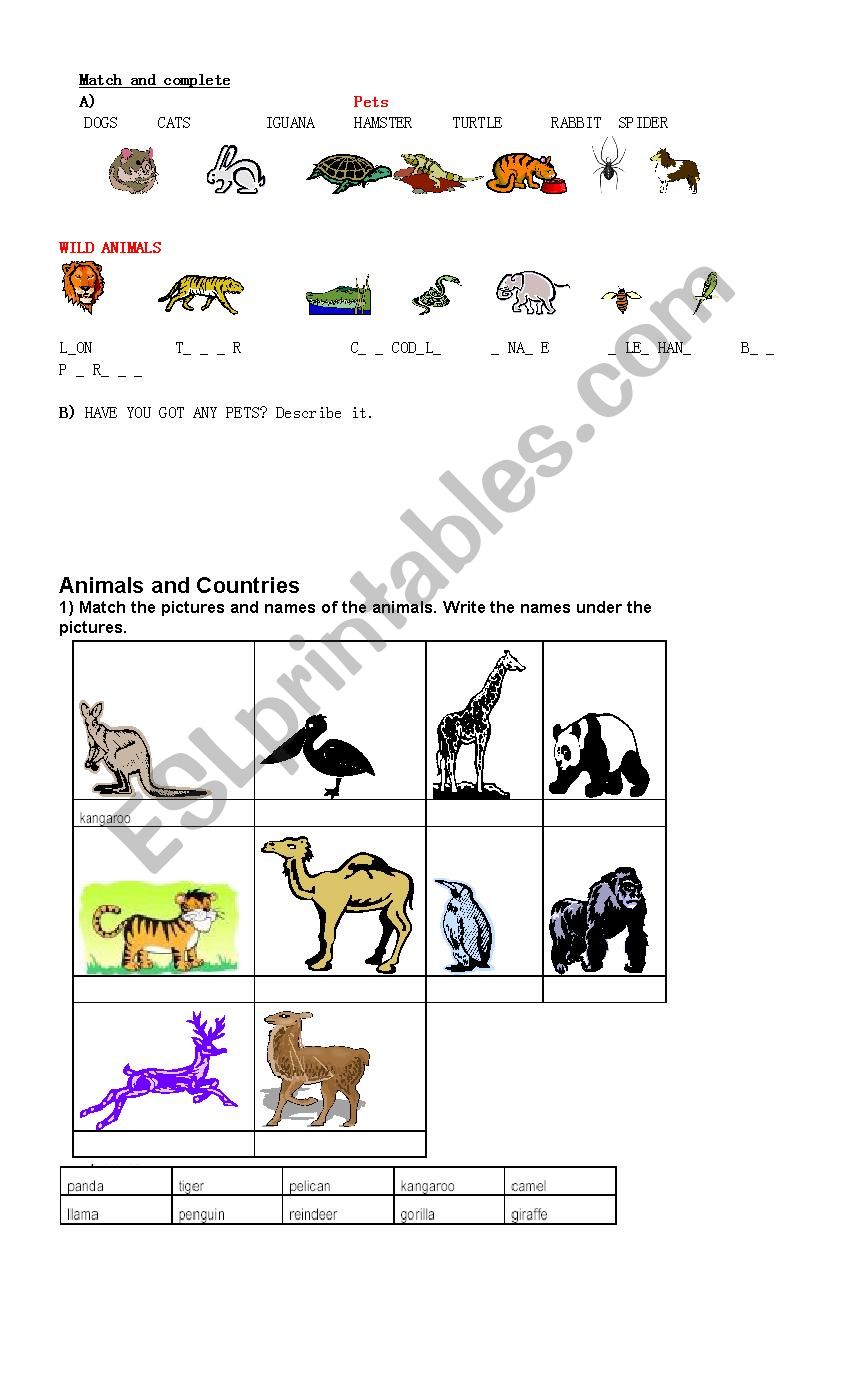 Animals worksheet