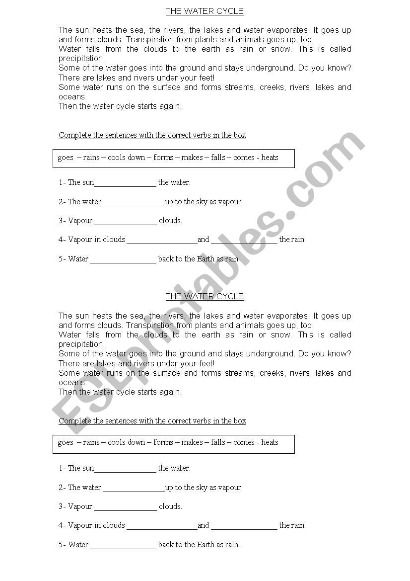 The water cycle worksheet