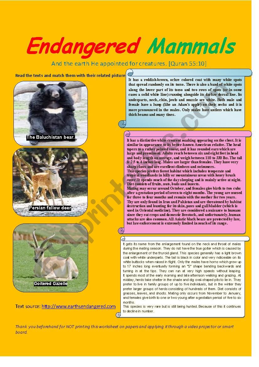endangered mammals worksheet
