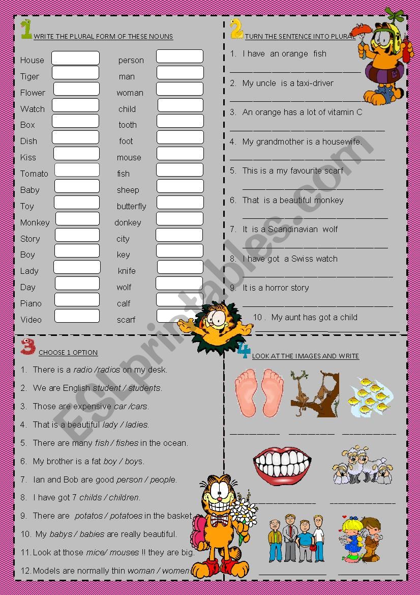 singular and plural  worksheet