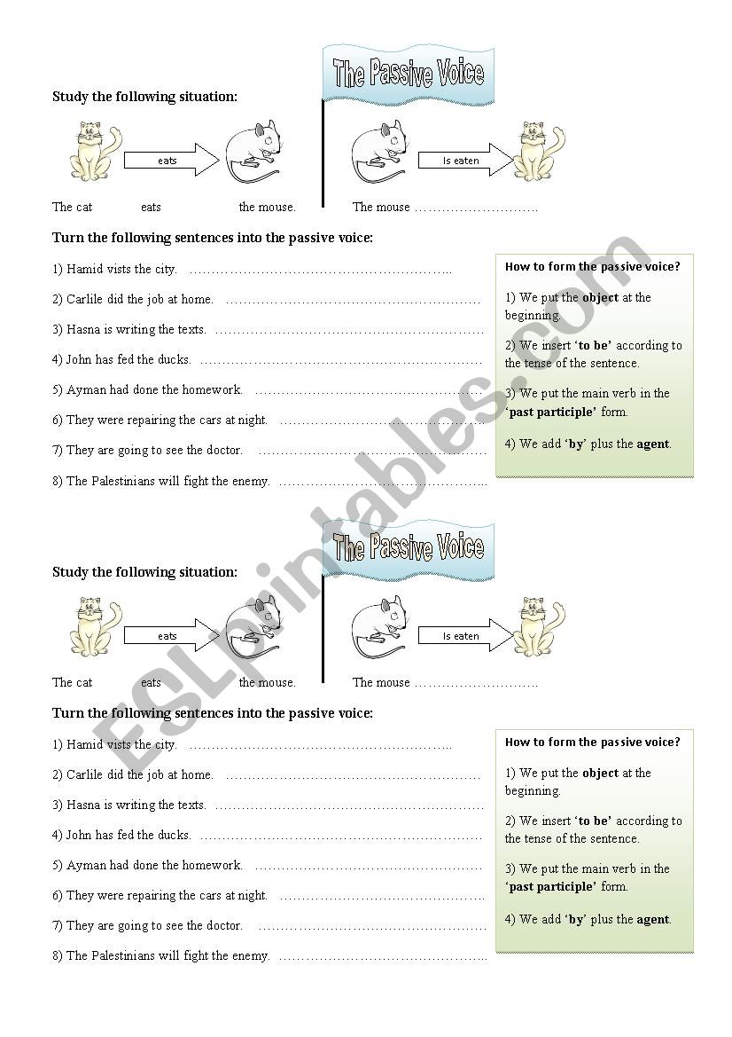 passive voice worksheet