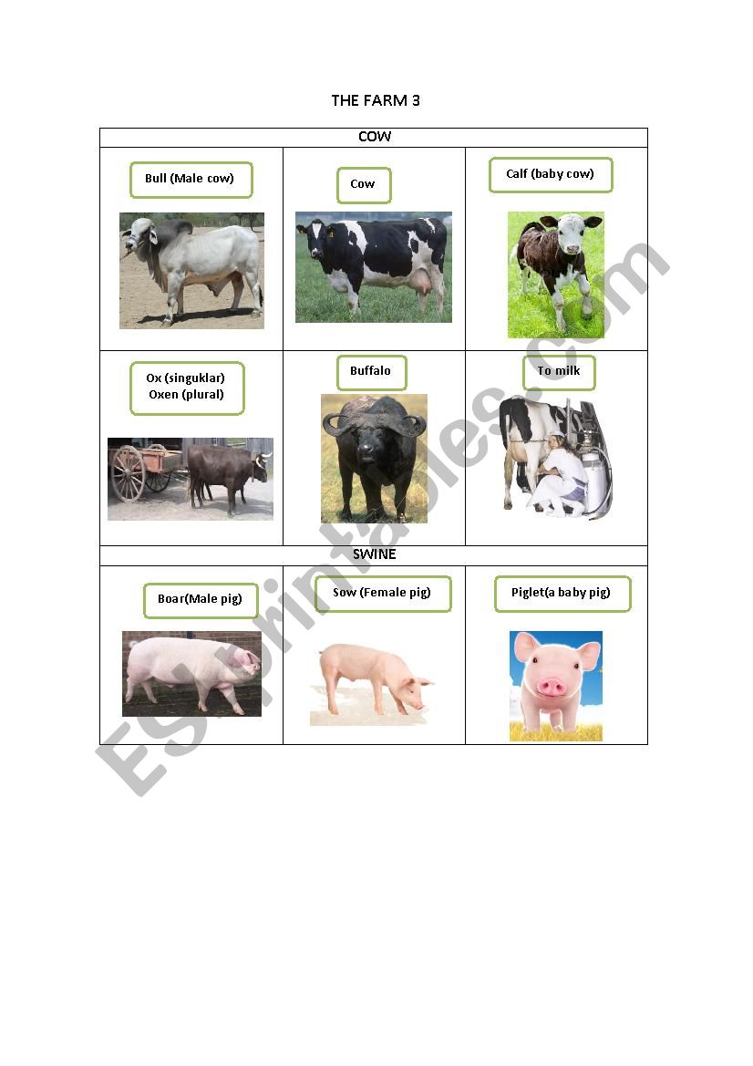 THE FARM 3 worksheet