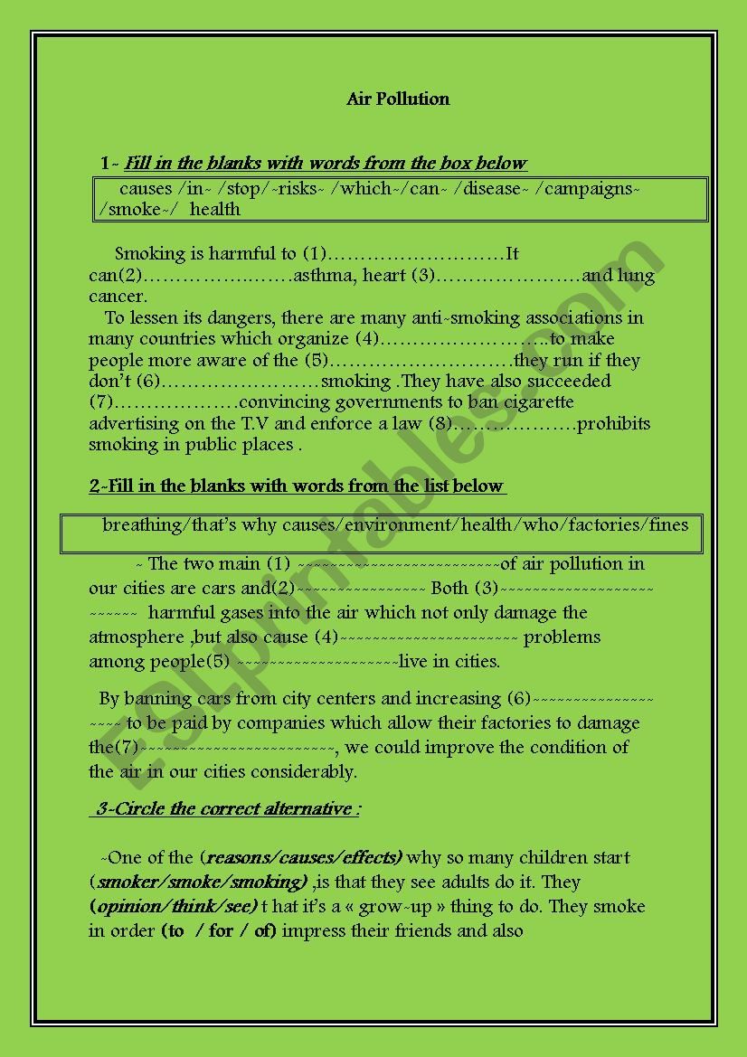 air pollution  worksheet