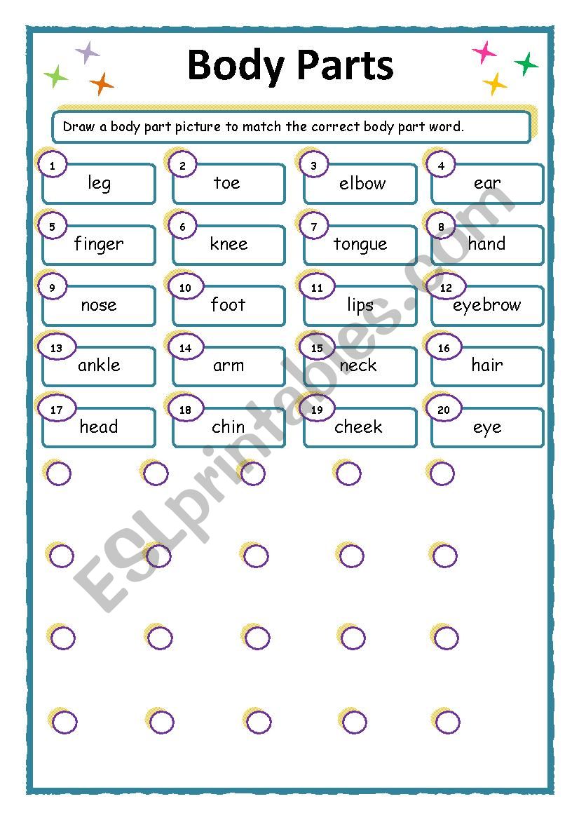 Body Parts worksheet