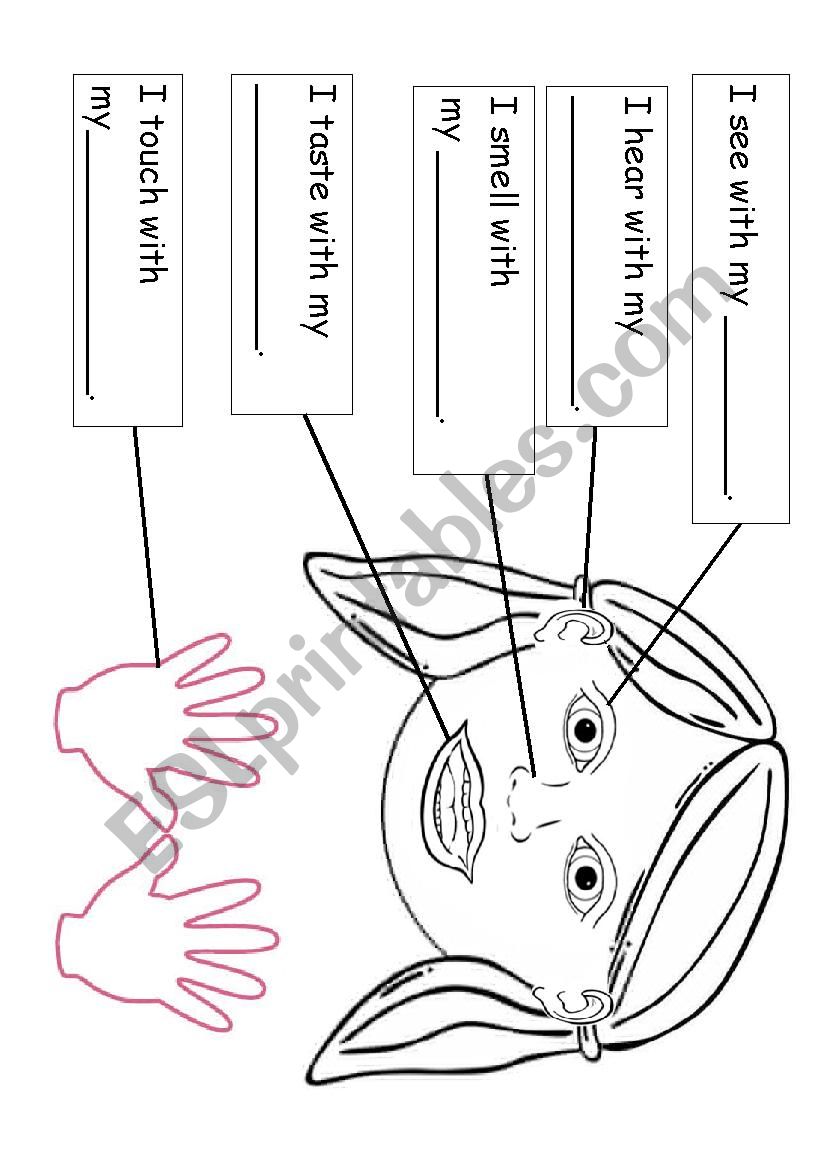 Five senses labeling worksheet