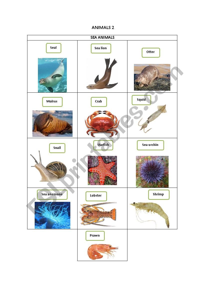 ANIMALS 2 worksheet