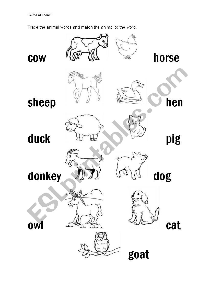 Farm animals worksheet