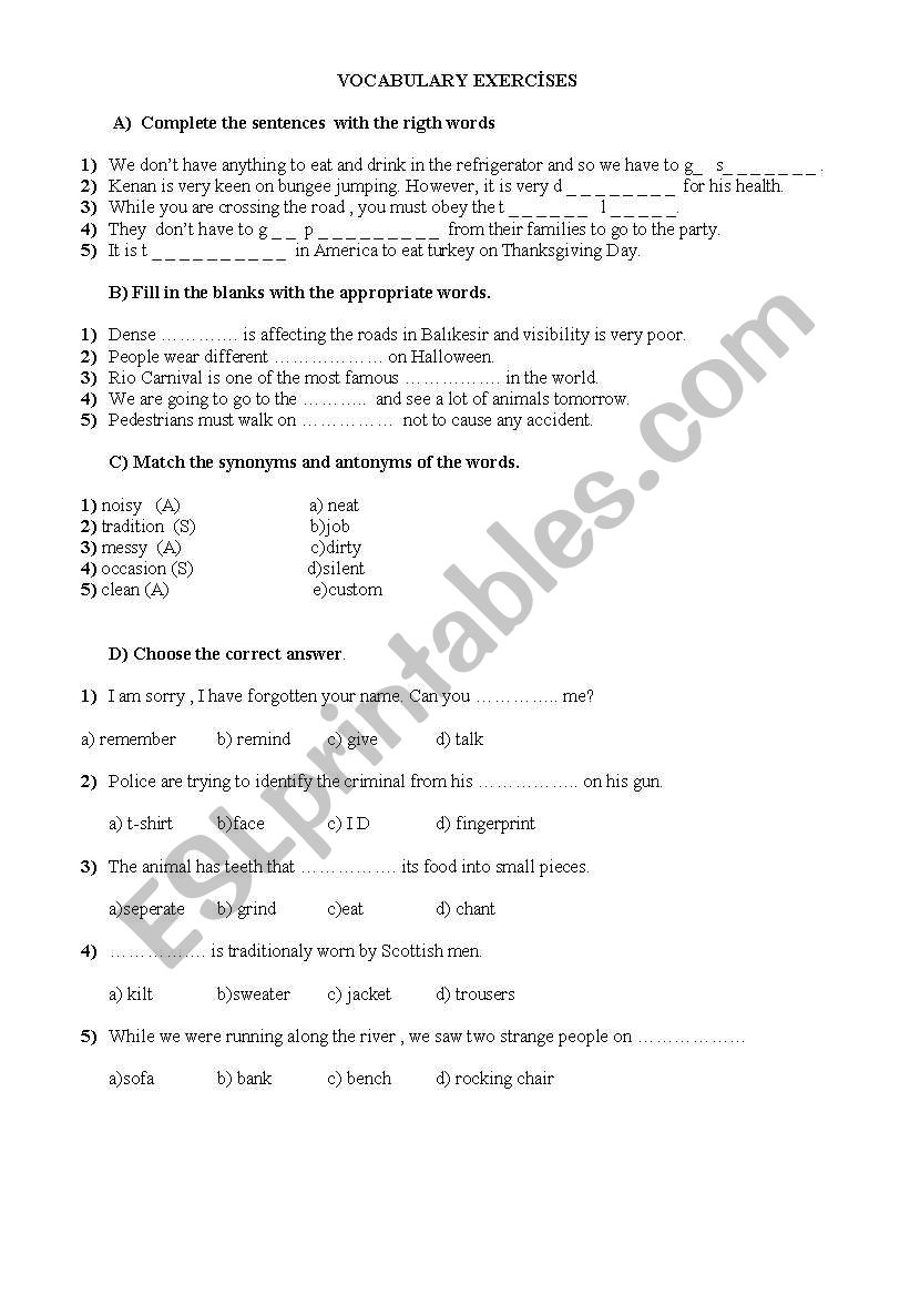 VOCABULARY worksheet