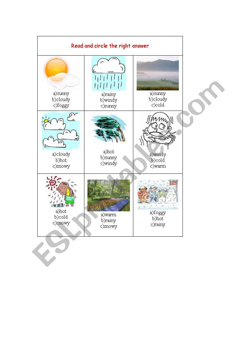 WEATHER CONDITIONS worksheet