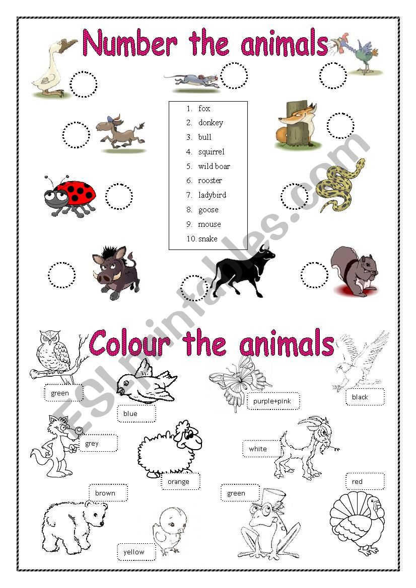 Animals worksheet