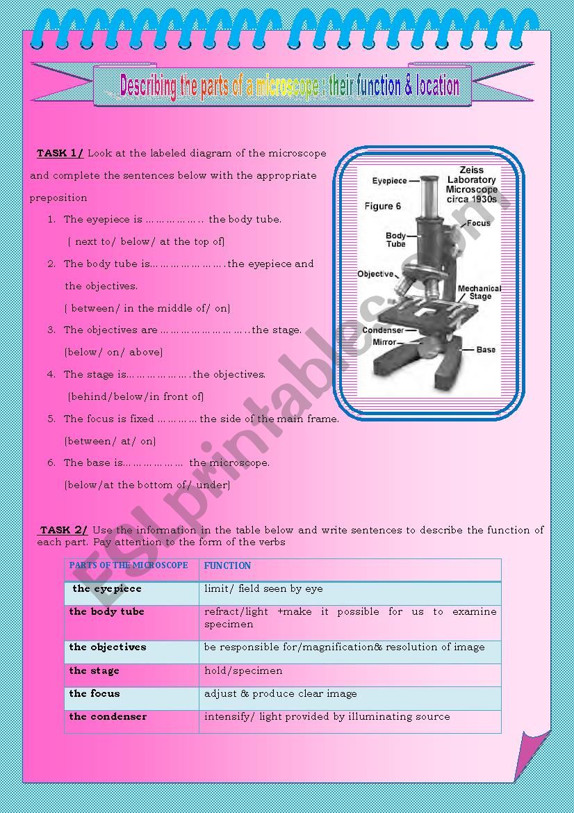 the microscope worksheet