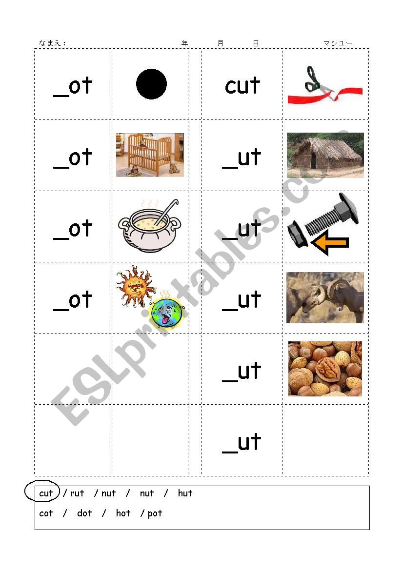 Phonics - 3 letter words (CVC) - Writing -OT / -UT