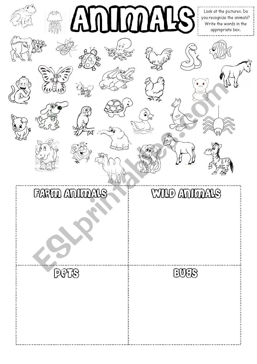 Animals worksheet