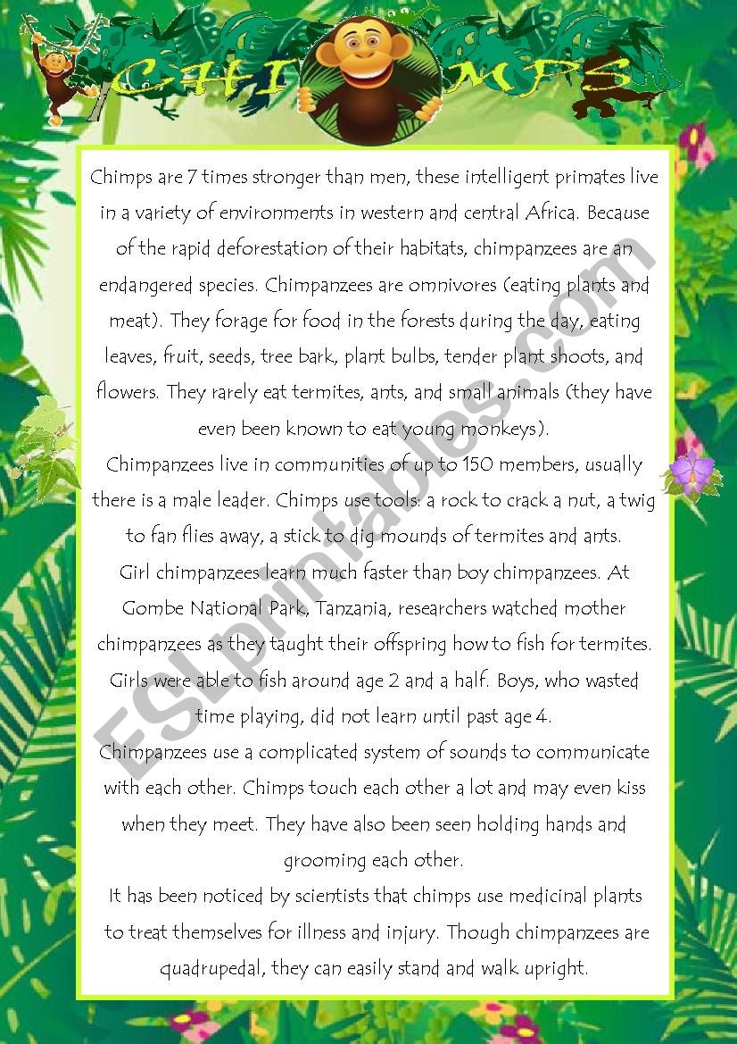 Chimps worksheet