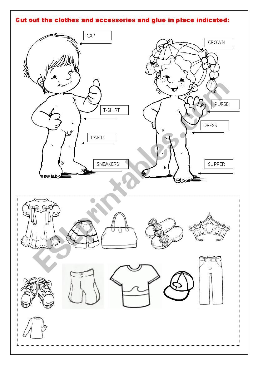 CLOTHES IN THE CORRECT PLACE worksheet
