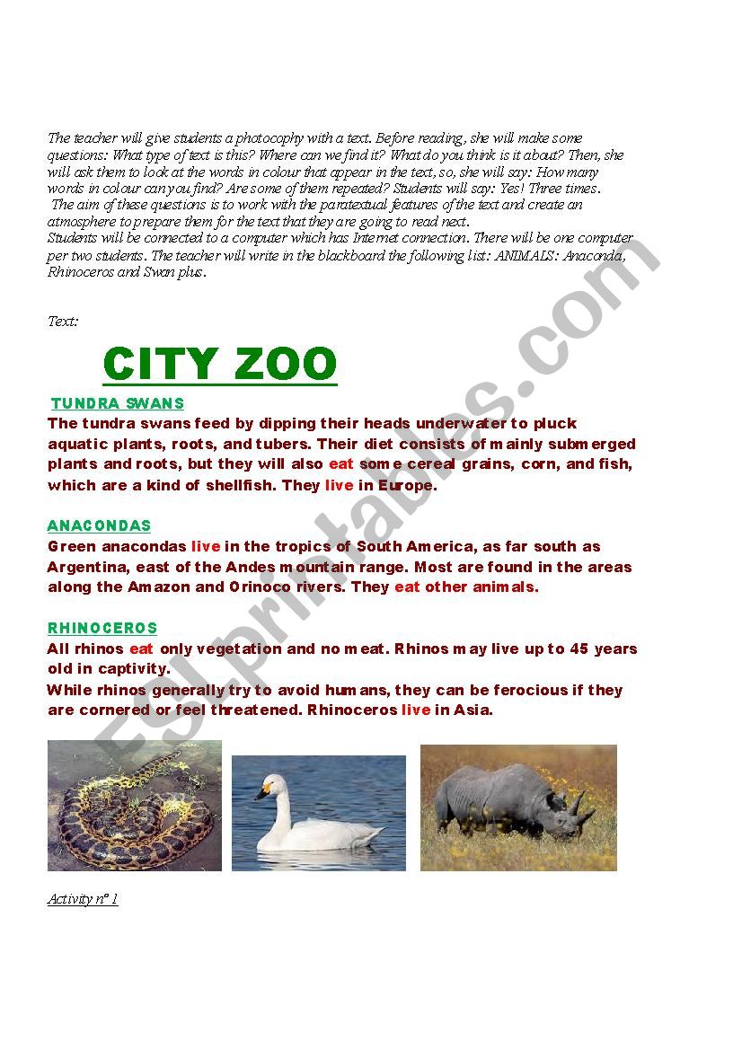 Animals worksheet