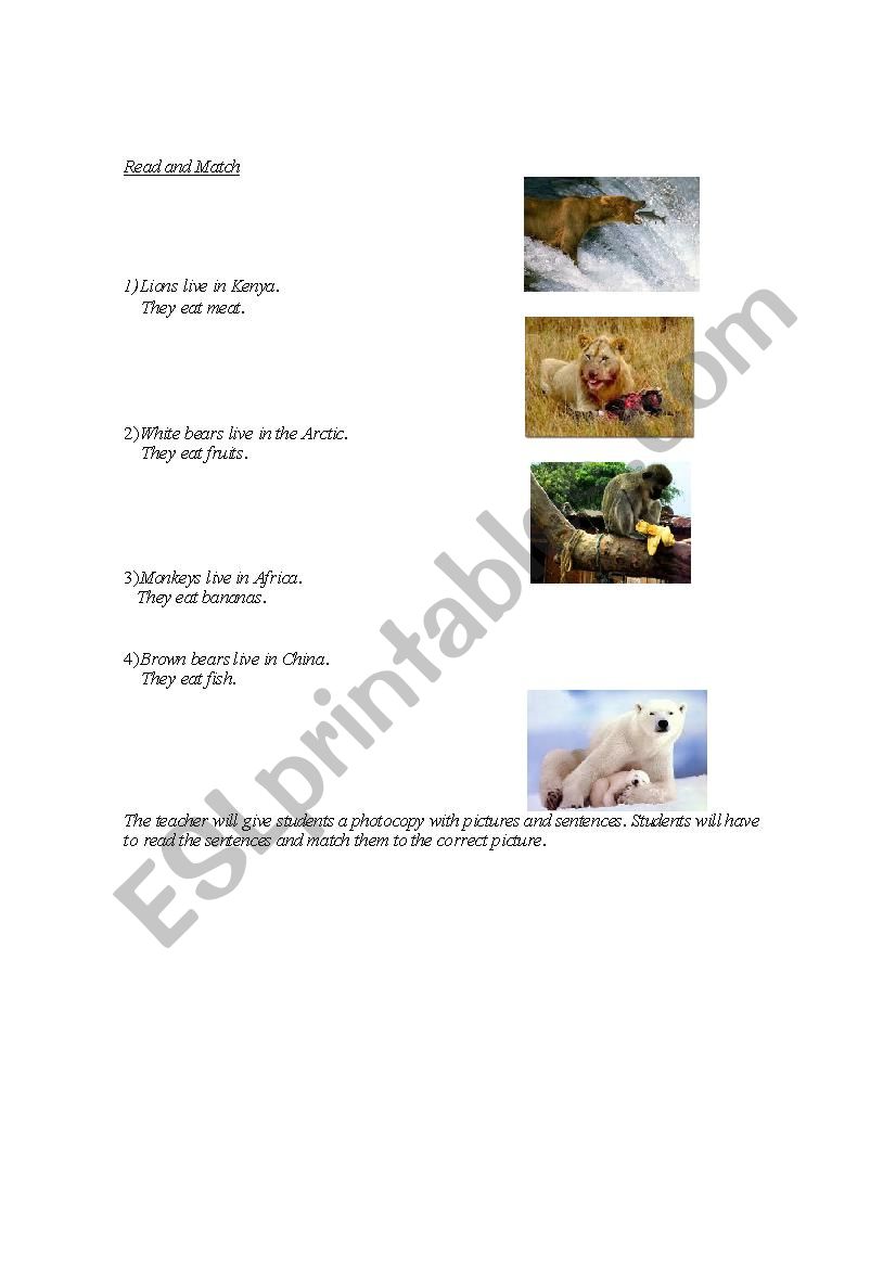 Animals worksheet