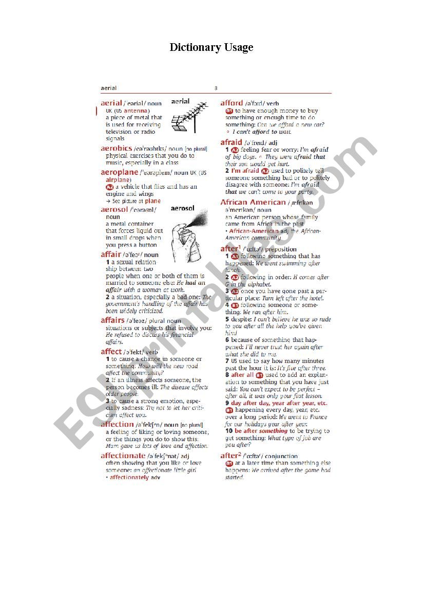 Dictionary Usage worksheet