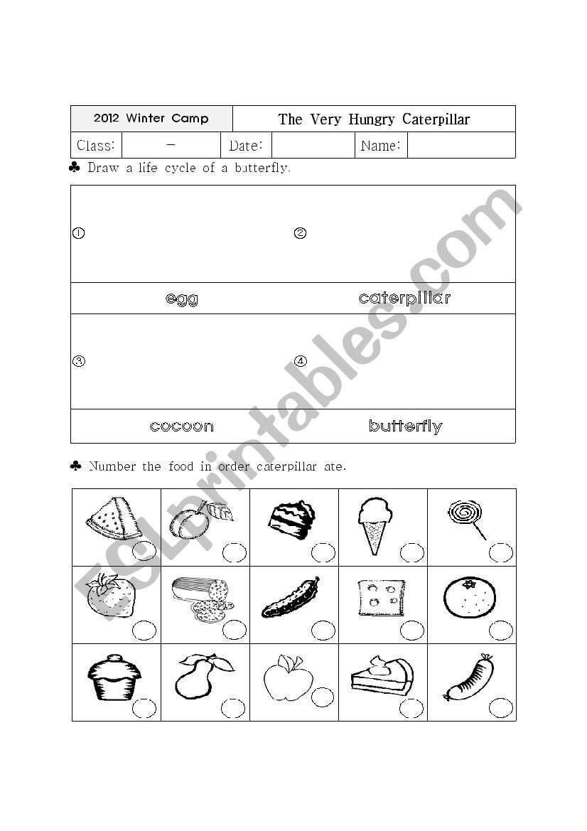 The Very Hungry Caterpillar Worksheet