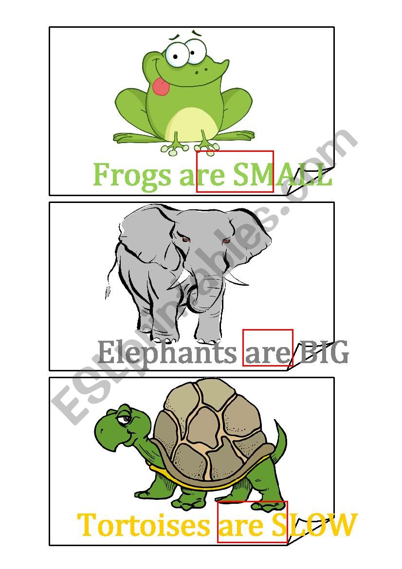 Describing animals flashcards 1/4