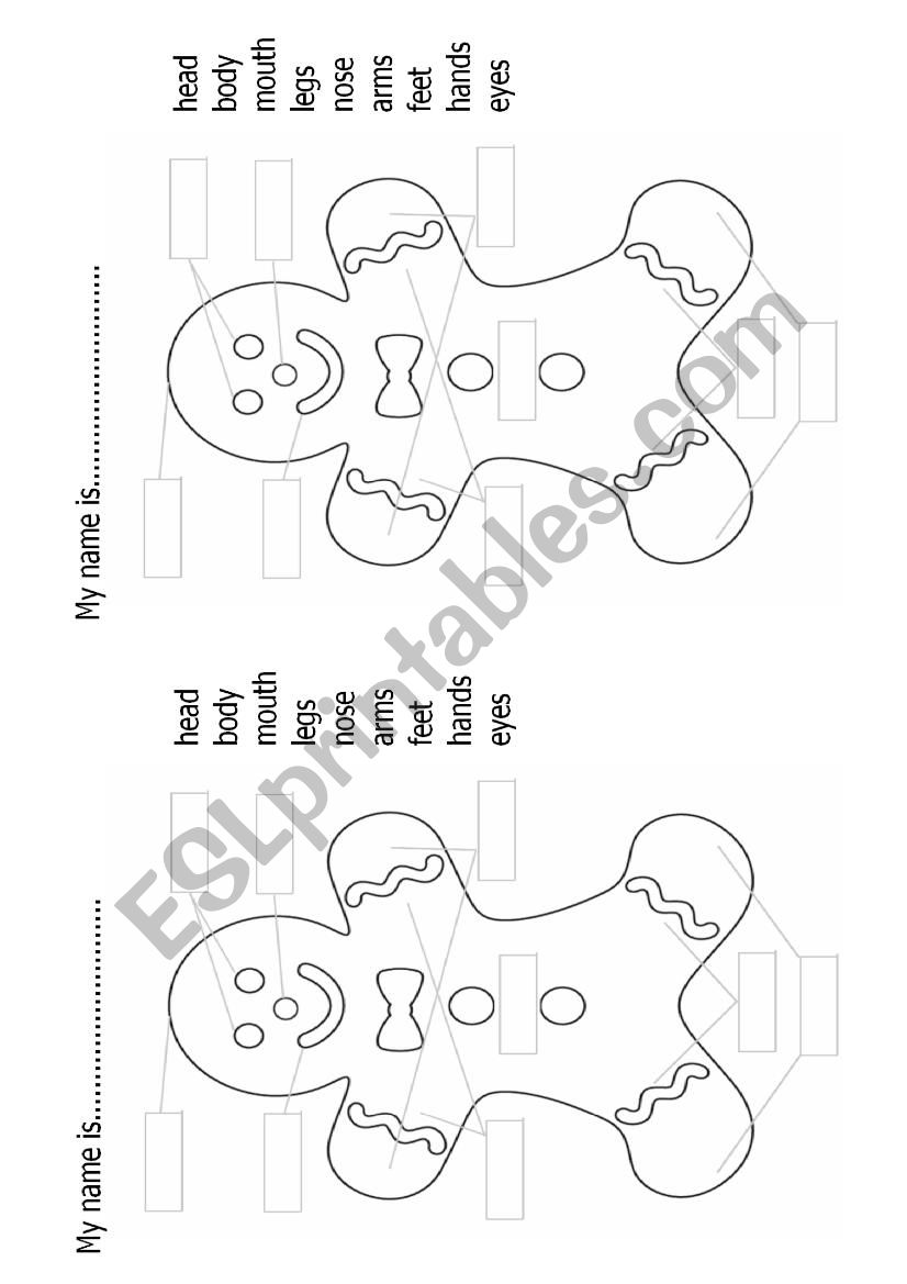 Gingerbread man Body parts worksheet