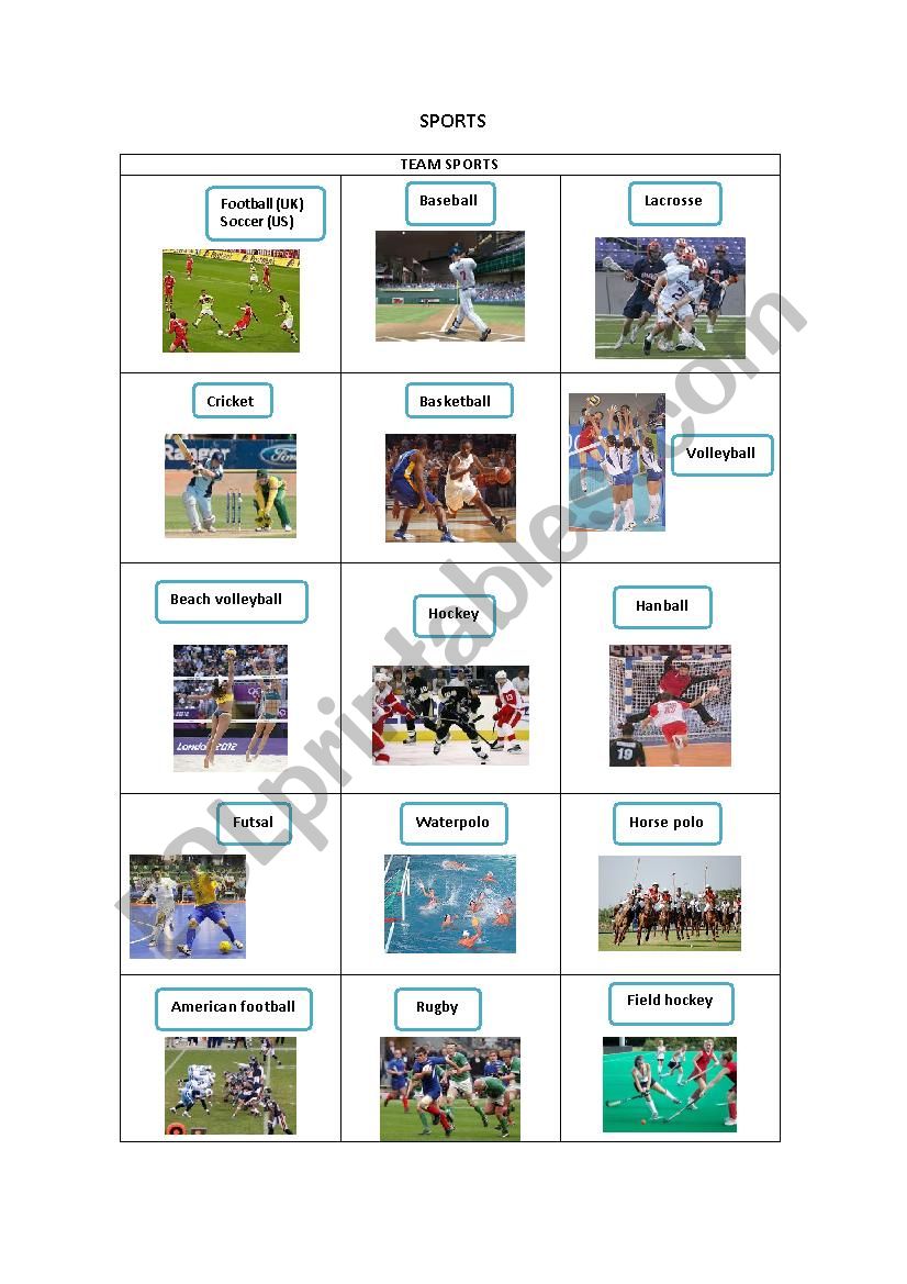 SPORTS worksheet