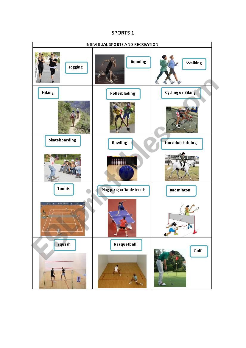 SPORTS 1 worksheet