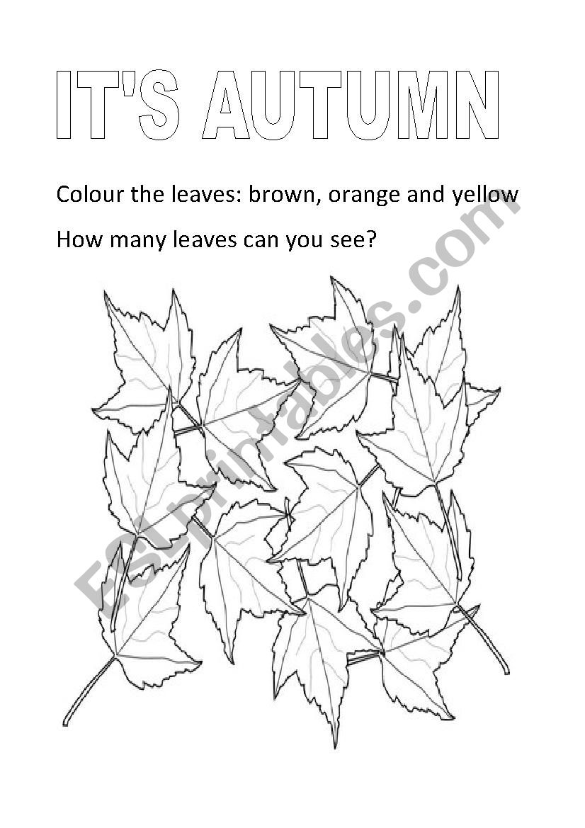 ItÂ´s autumn worksheet