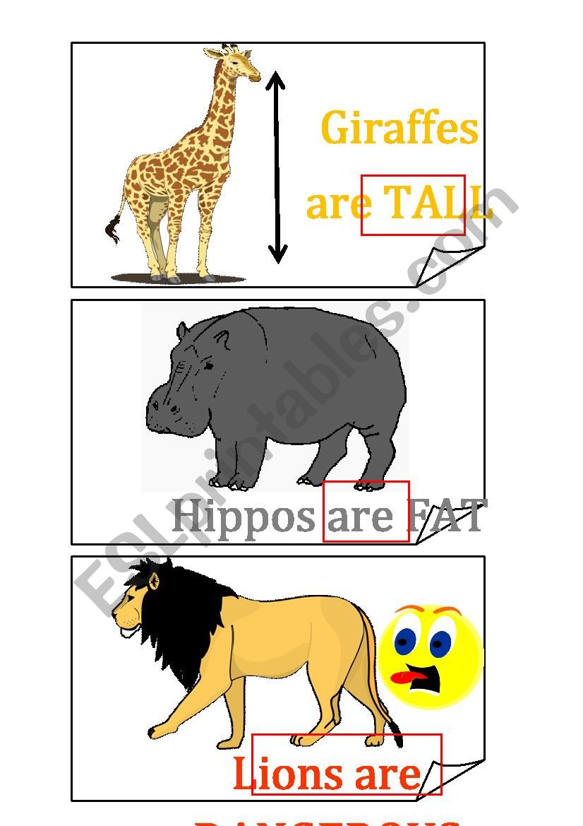 Describing animals flashcards 2/4