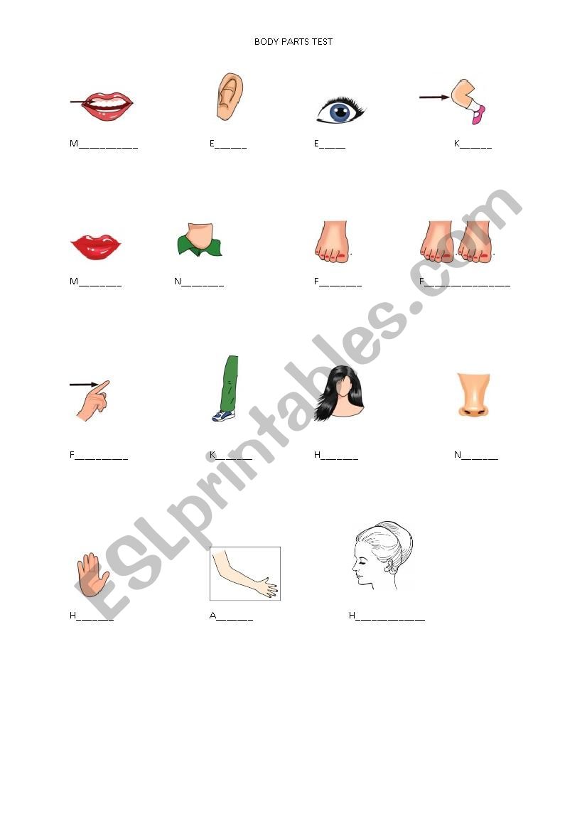 body parts test worksheet