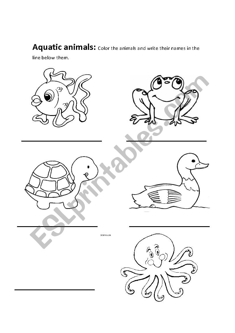 Aquatic animals 1 worksheet