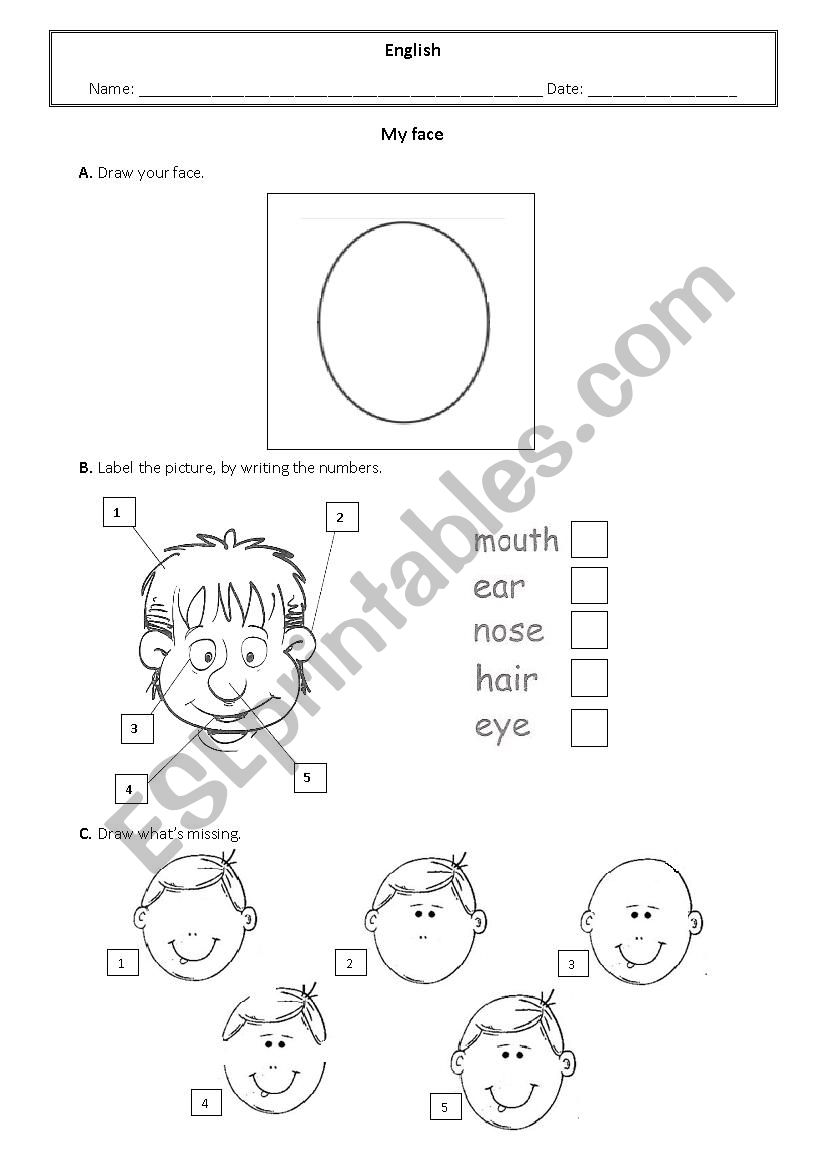 My face worksheet