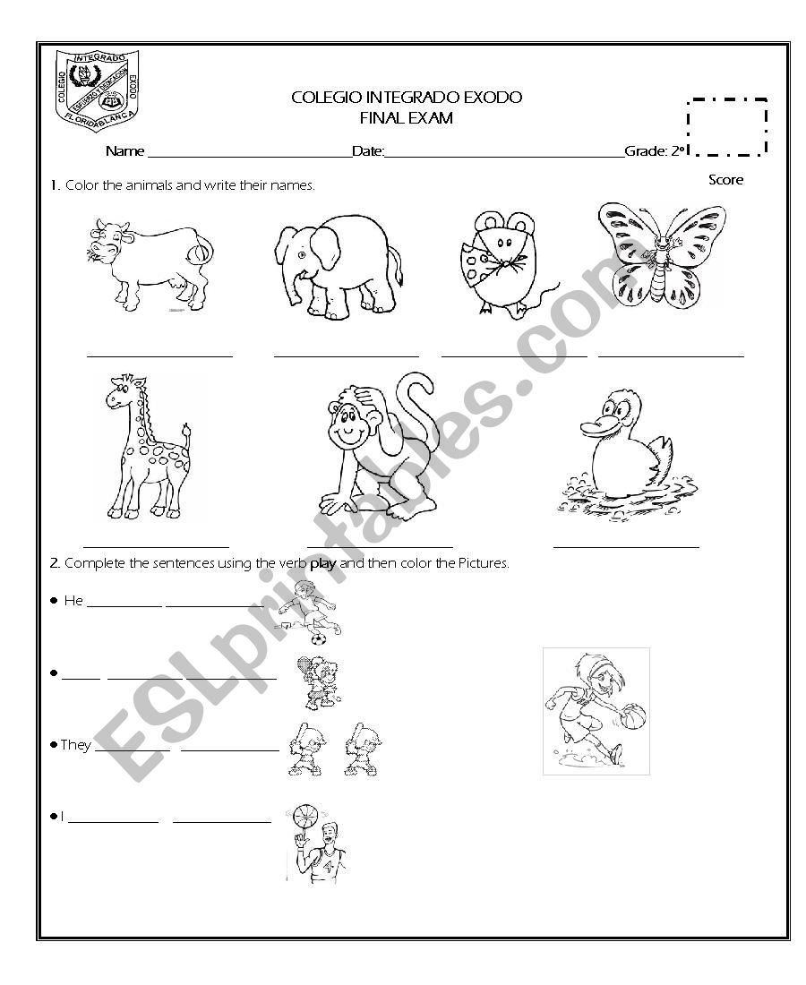 Animals and verb play  worksheet