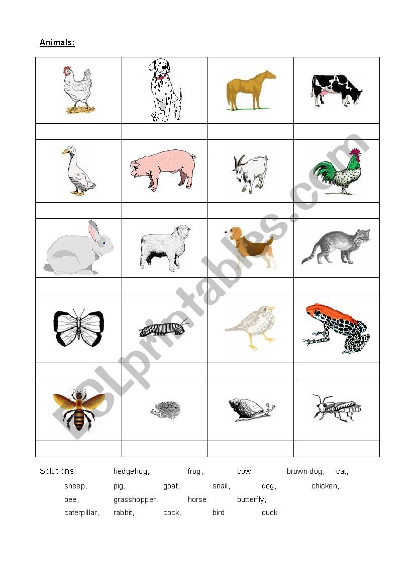 Animals worksheet